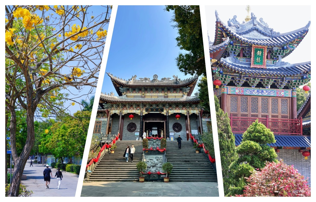 1773284853176051.jpg 3.jpg