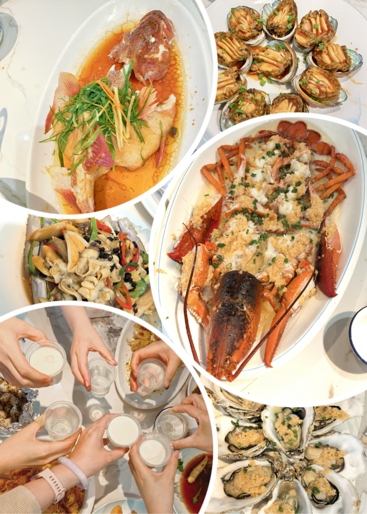 1773284956352027.jpg 5.jpg